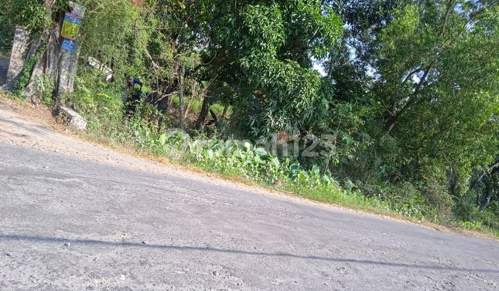 Land For Sale In The Village - Ngawi, East Java at Tugu Village, Kedunggudel, Cepoko, Ngrambe, Ngawi, East Java, Indonesia, 63263, Walikukun.