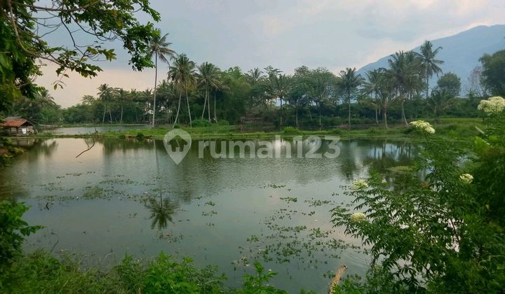 Dijual Tanah Berupa Kolam Di Pangatikan Kab Garut