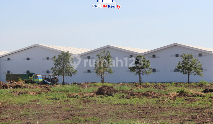 Kavling hoek dilaksana 1 jual cepat dekat bandara 2