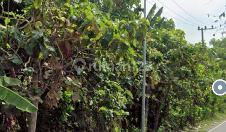 Translate to English: Translate to English: