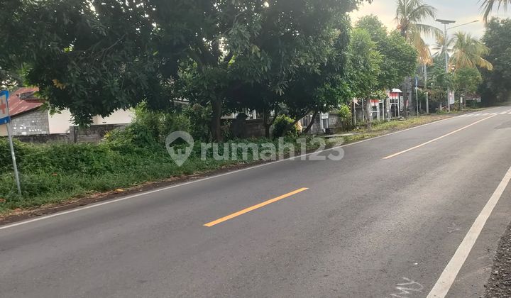 Tanah 1 Ha Dijual Di Jalan Raya Seririt Gilimanuk