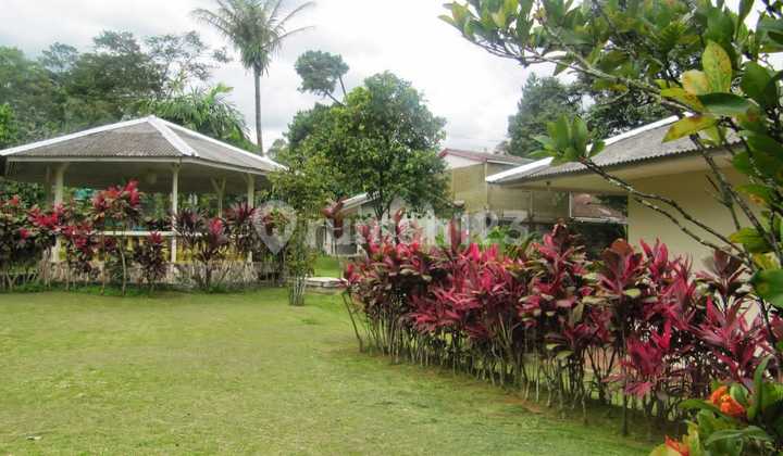 Villa Selalu Tersewa Setiap Minggu di Jl. Cipayung Girang, Cipayung Datar, Kec. Megamendung, Kabupaten Bogor, Jawa Barat, Megamendung 2