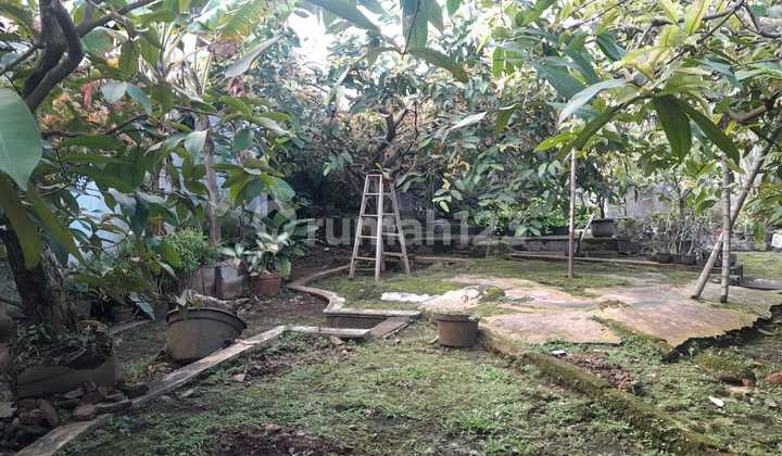 Karet Pedurenan Belakang Mall Ambasador Kota Casablanca 2