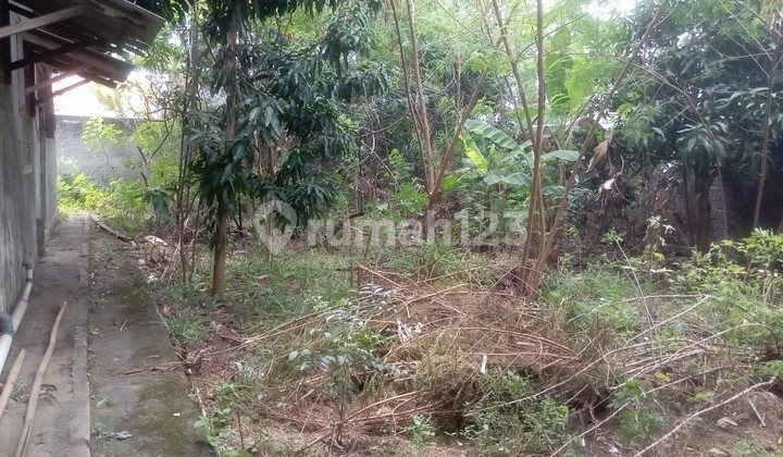 Tanah Produktif Bisa Buat Hunian Kontrakan Tanah Produktif Bisa Buat Hunian Kontrakan