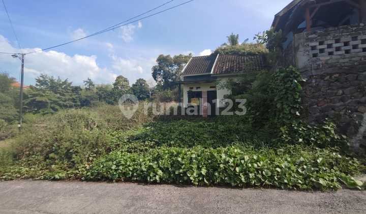 Rumah 6 Unit di Jl Pulau Irian Desa Banyuning Kec Buleleng 2