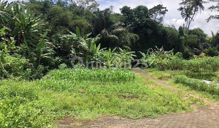 Dijual Tanah Kavling Lokasi Jl Raya Bedil