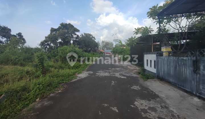 For Quick Sale 3300M2 Land Located at Jl Pulau Menjangan, Banyuning Village For Quick Sale 3300M2 Land Located at Jl Pulau Menjangan, Banyuning Village