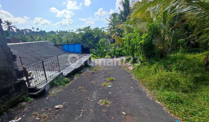 Tanah Kosong Siap Bangun Terletak di Jl Kamboja, Desa Werdibhuwana