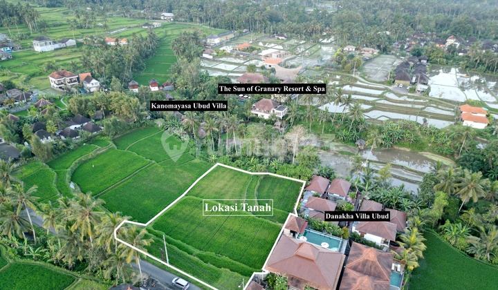 25.5 Are Leasehold Land in Tegallalang Ubud Bali | 20 Year Lease for Villa & Resort #baliland 25.5 Are Leasehold Land in Tegallalang Ubud Bali | 20 Year Lease for Villa & Resort #baliland