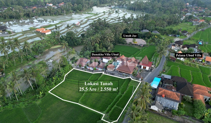 25.5 Are Leasehold Land in Tegallalang Ubud Bali | 20 Year Lease for Villa & Resort #baliland 25.5 Are Leasehold Land in Tegallalang Ubud Bali | 20 Year Lease for Villa & Resort #baliland