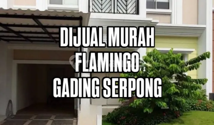 Rumah Murah Rapi Siap Huni Flamingo Gading Serpong