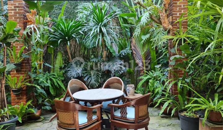 Dijual Rumah Royal Park Furnish Citraland Luas 113m 2 Kamar Dijual Rumah Royal Park Furnish Citraland Luas 113m 2 Kamar