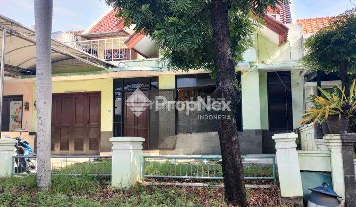 Disewakan Rumah Terawat Semi Furnish 3kamar 100m Ke Gwalk Citraland Dekat Pakuwon Mall 1