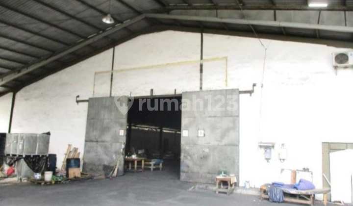 Gudang Kapuk Selangkah ke Bandara Siap Pakai Murah Bebas Banjir Gudang Kapuk Selangkah ke Bandara Siap Pakai Murah Bebas Banjir