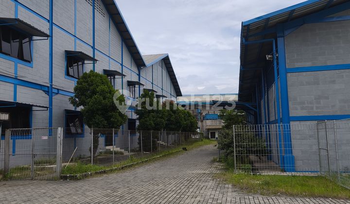 Ready-to-Use Tangerang City Warehouse Office