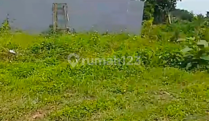 Tanah Strategis Pacet