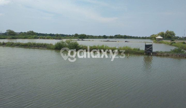 Kolam Pemancingan Nol Jalan Utama, Wisata Pancing Special