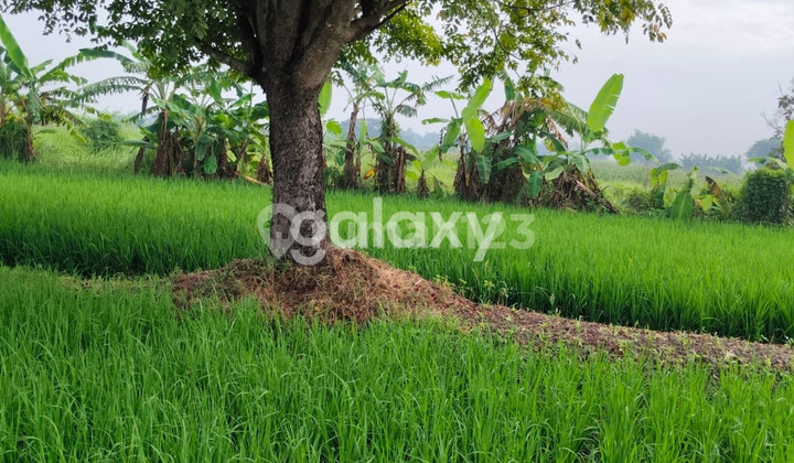 Tanah di Kedamean Gresik