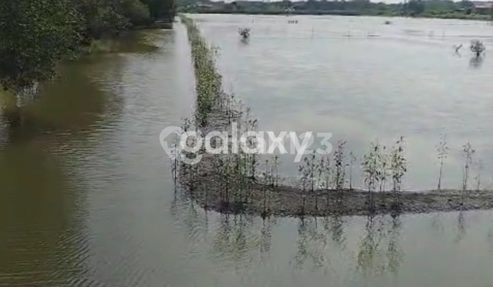 Wisata Kolam Pancing Strategis