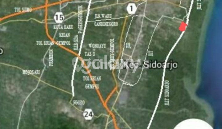 Fishing Pond in Gunung Anyar Surabaya