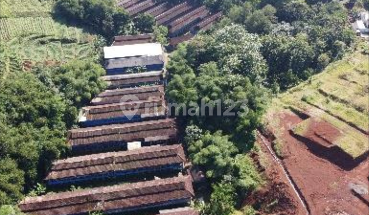 Cheapest Strategic Easy Access Farmland and Plantation Land.