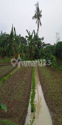 foto lainnya tanah strategis gatot subroto kota