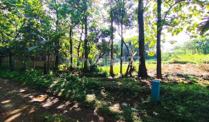 For Sale, Ready-to-Build Land in Ciangsana, Gunung Putri, Bogor For Sale, Ready-to-Build Land in Ciangsana, Gunung Putri, Bogor