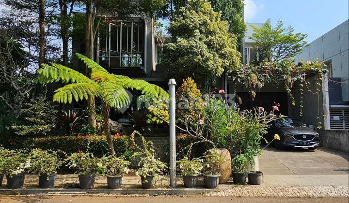 Premium Luxury Fully Furnished House on Jalan Veteran Malang Premium Luxury Fully Furnished House on Jalan Veteran Malang