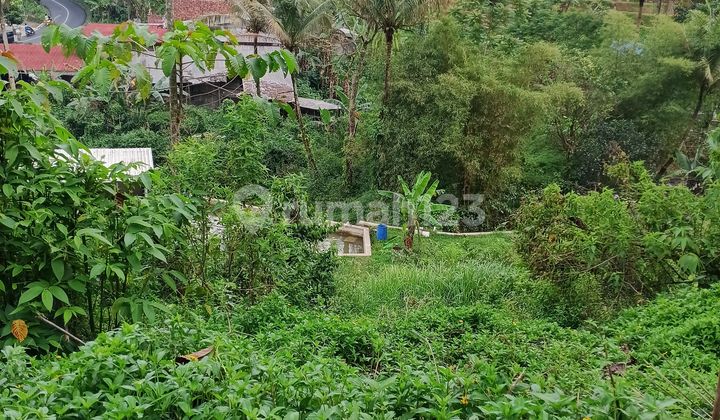 Tanah Di Bojong Timur Purwakarta Tanah Di Bojong Timur Purwakarta