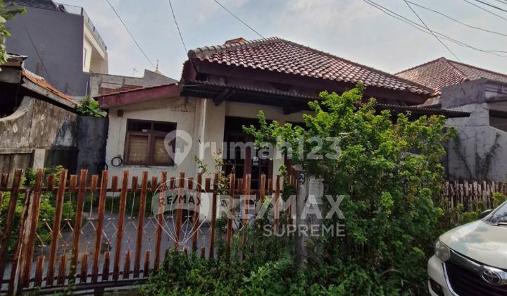 Tanah Strategis cocok untuk bangun rumah dekat jalan proklamasi Tanah Strategis cocok untuk bangun rumah dekat jalan proklamasi