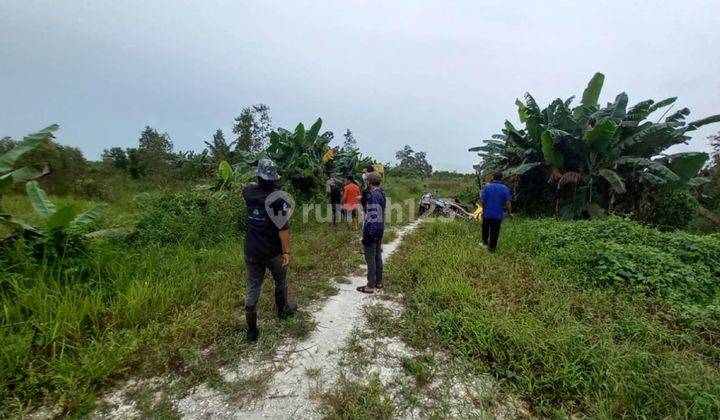 Dijual Tanah Desa Kayu Bawang Kalimantan, Cocok Untuk Investasi 1