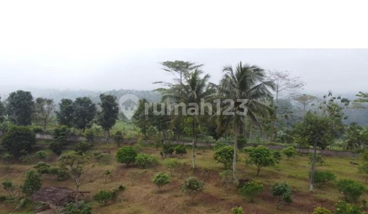 Dijual Tanah Perkebunan di Parung kuda Sukabumi
