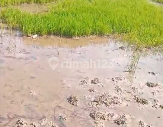 Dijual Tanah Cocok untuk Villa di Wiyung Surabaya #Mel9des25