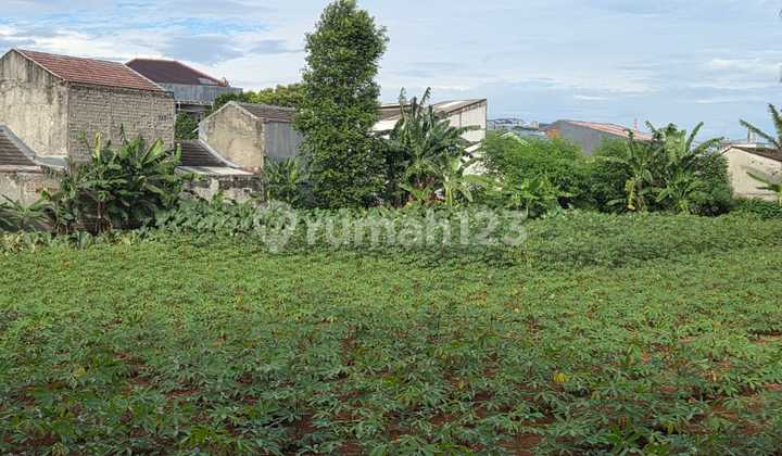 Tanah dijual dalam komplek Pabuaran Indah Cibinong, Bogor Tanah dijual dalam komplek Pabuaran Indah Cibinong, Bogor