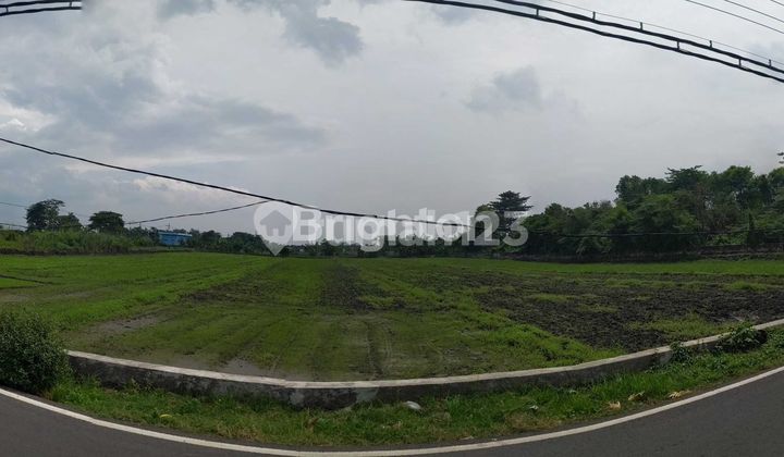 STRATEGIC LAND MOUNT GEDANGAN MOJOKERTO