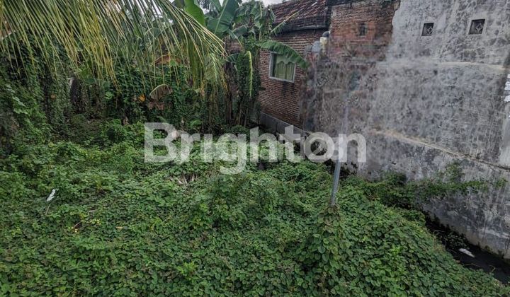 TANAH MOJOAGUNG JOMBANG TANAH MOJOAGUNG JOMBANG