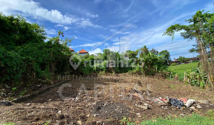 Lahan siap bangun di Dalung - Kuta Utara