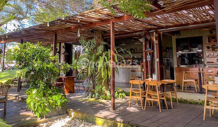 Restaurant For Lease / Cafe Prime Location Berawa Canggu Bali 1