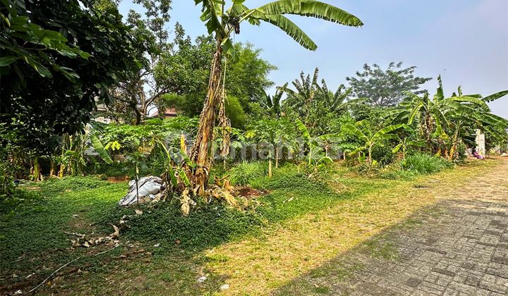 Dijual Cepat Tanah DIbawah NJOP di Jl. Joe, Jagakarsa, Jaksel