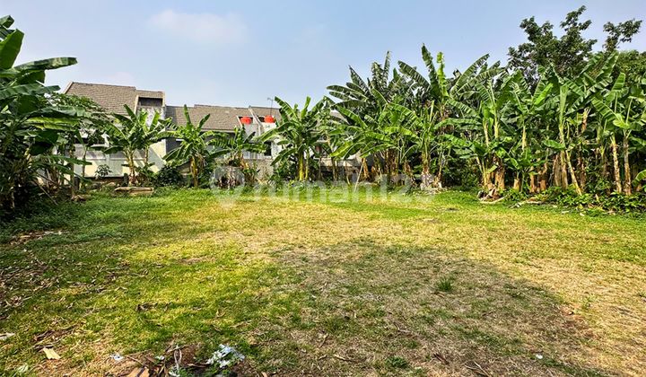 For Quick Sale Land Below NJOP on Jl. Joe, Jagakarsa, South Jakarta