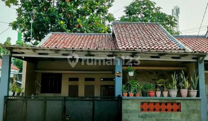 Rumah Full Furnished Termurah di Sawangan Depok - Siap Huni, Bebas Banjir, Dekat Tol & Stasiun! Rumah Full Furnished Termurah di Sawangan Depok - Siap Huni, Bebas Banjir, Dekat Tol & Stasiun!