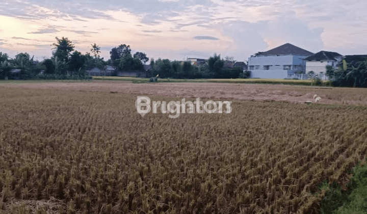 Dijual Tanah Luas Di Imogiri  1