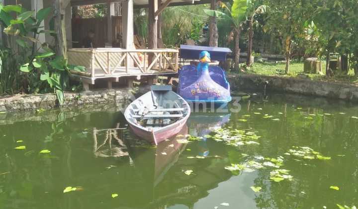 Dijual Villa Asri 2 Lantai di Cimacan Cipanas Puncak - Luas Tanah 2028 m², Harga 4,6 M Nego! 2