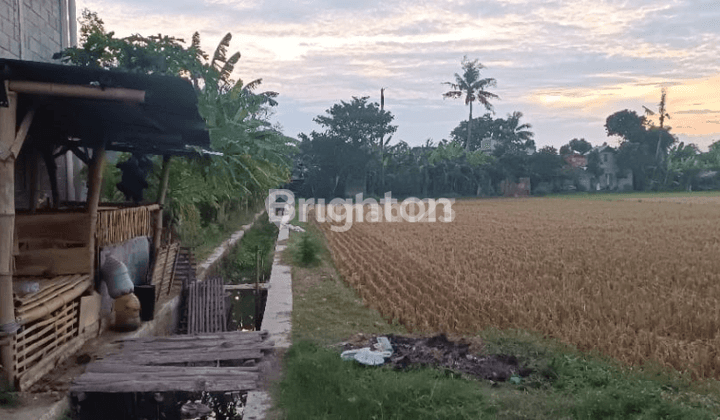 Dijual Tanah Luas Di Imogiri  2