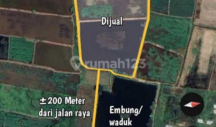INVESTASI PASTI! JUAL LAHAN SHM 3.3 HA DI JOGODALU GRESIK INVESTASI PASTI! JUAL LAHAN SHM 3.3 HA DI JOGODALU GRESIK