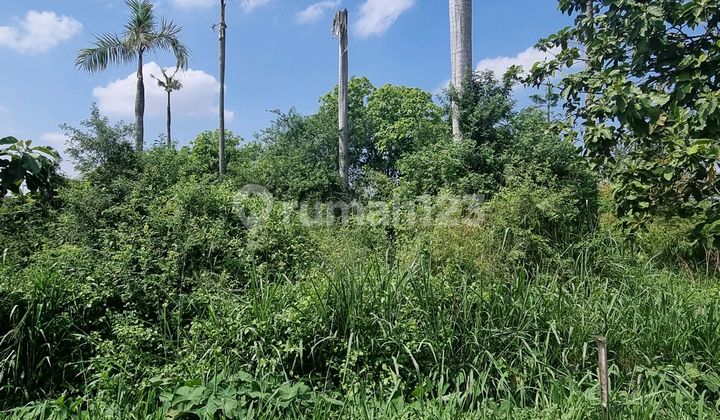 Tanah Dijual Di Gagak Sipat