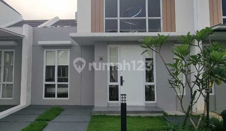 Paramount Petals Paramount Petals