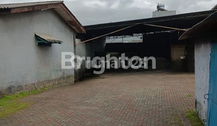 Sebidang Tanah di Kapuk,Cengkareng .Jakarta Barat