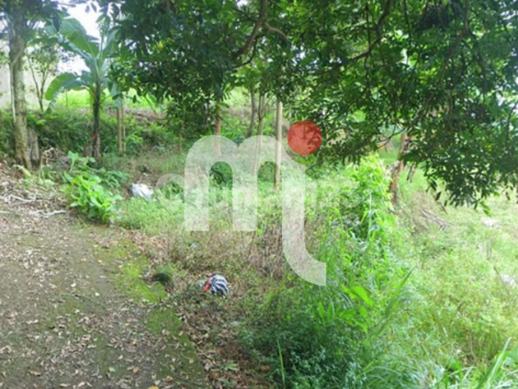 Dijual Bidang Tanah di Bawen, Kab. Semarang 1