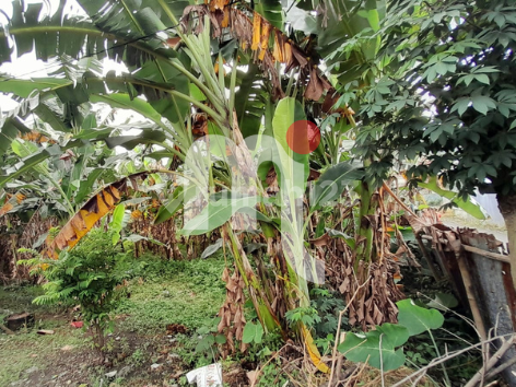 Dijual Tanah Suratmo, Semarang Barat 2